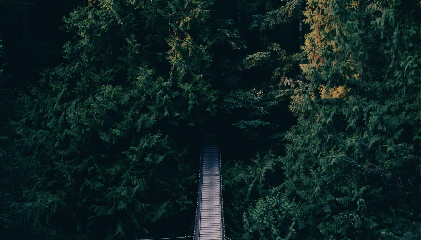 AI Agent：企业数字化转型的下一代智能助手